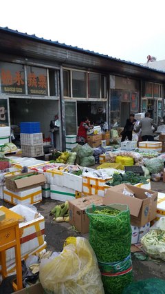 昨日與今日的交匯 內(nèi)蒙古博物院與東瓦窯市場的呼和浩特印記